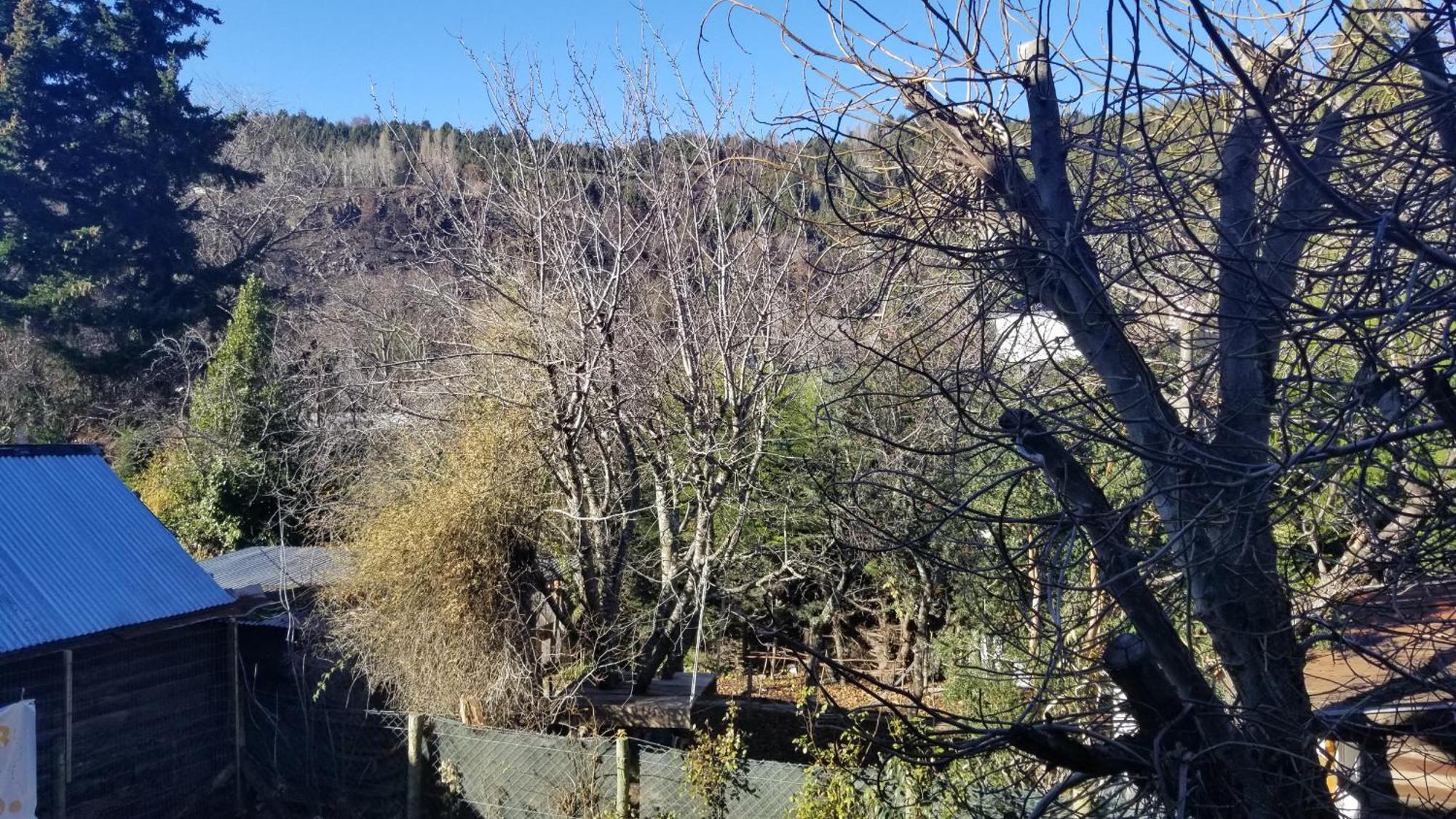 Villegas Centrico - Andarlibre San Martín de los Andes Zewnętrze zdjęcie